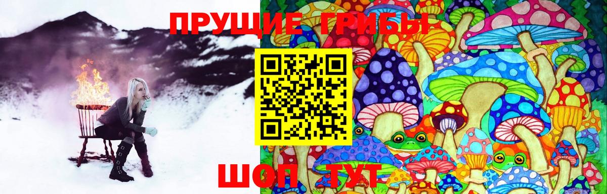 Находка  Галлюциногенные грибы Psilocybe  Вход с VPN 