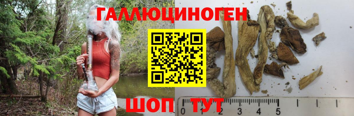 Псилоцибиновые грибы MAGIC MUSHROOMS Находка
